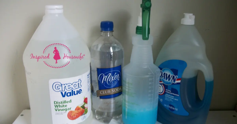 Homemade Stain Removers for Car Seats