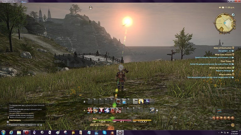 ffxiv coco and sunset