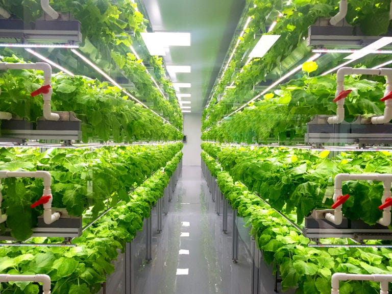MORE YIELD IN LESS SPACE WITH VERTICAL FARMING