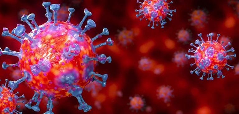 What is coronavirus? History of coronavirus, Symptoms, Treatment, How it spread?