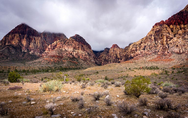 A desert scene similar to New Mexico and west Texas.