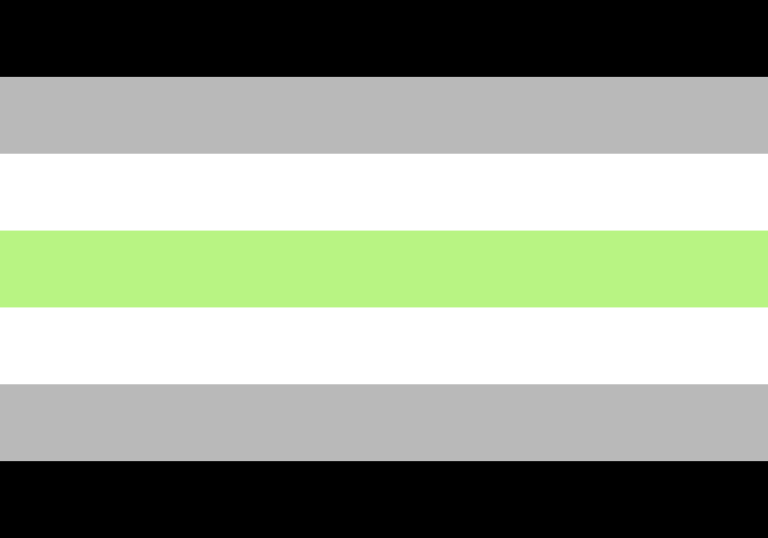 A bandeira agênero tem 7 listas, duas pretas (1ª e 7ª), duas cinza (2ª e 6ª), duas brancas (3ª e 5) e uma verde-clara (4ª)