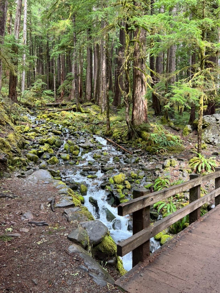 Sol Duc Trail in Olympic National Park