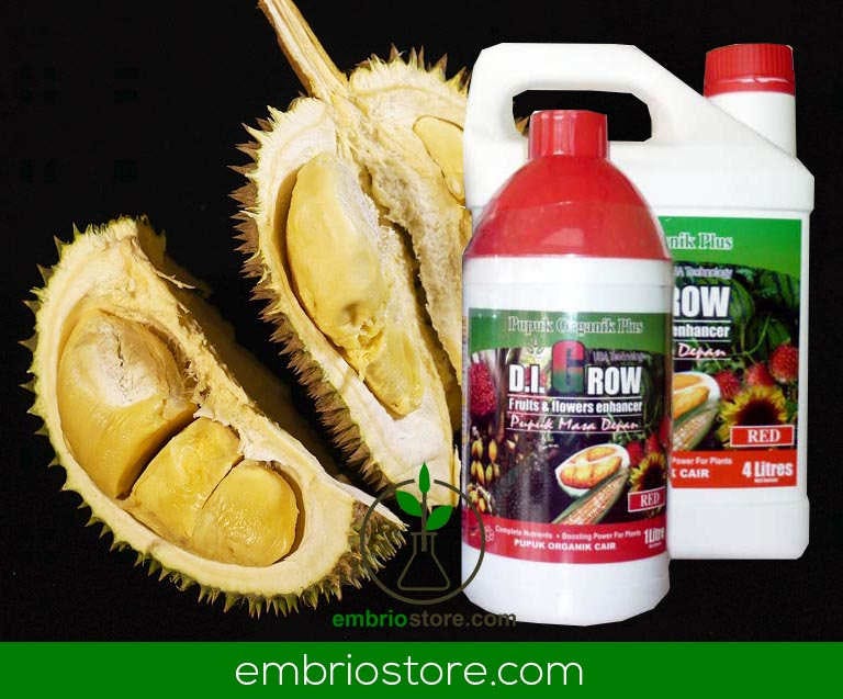 pupuk cair di grow untuk durian