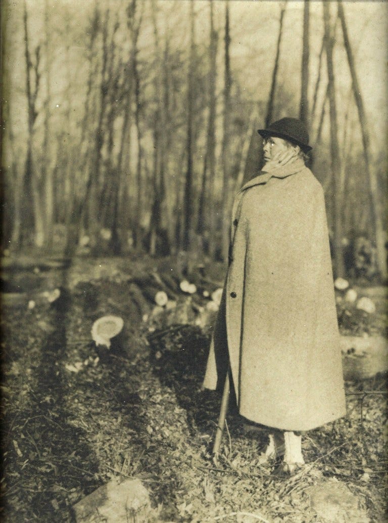 a woman in a long coat stands near fallen trees in a grayscale photo