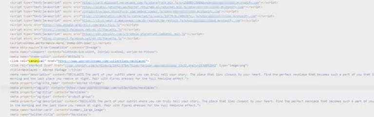 Canonical URL on Shopify