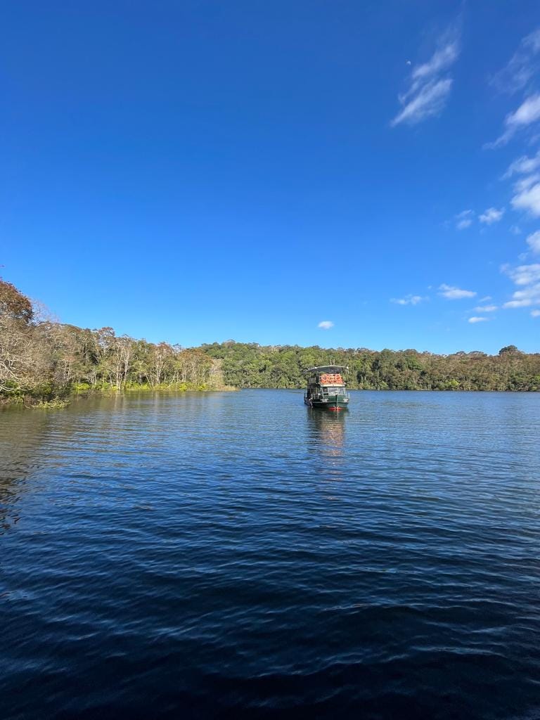 A boat ride in Thekkady lake and spotting  birds and animals near the waterbody