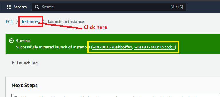 Instances Launched