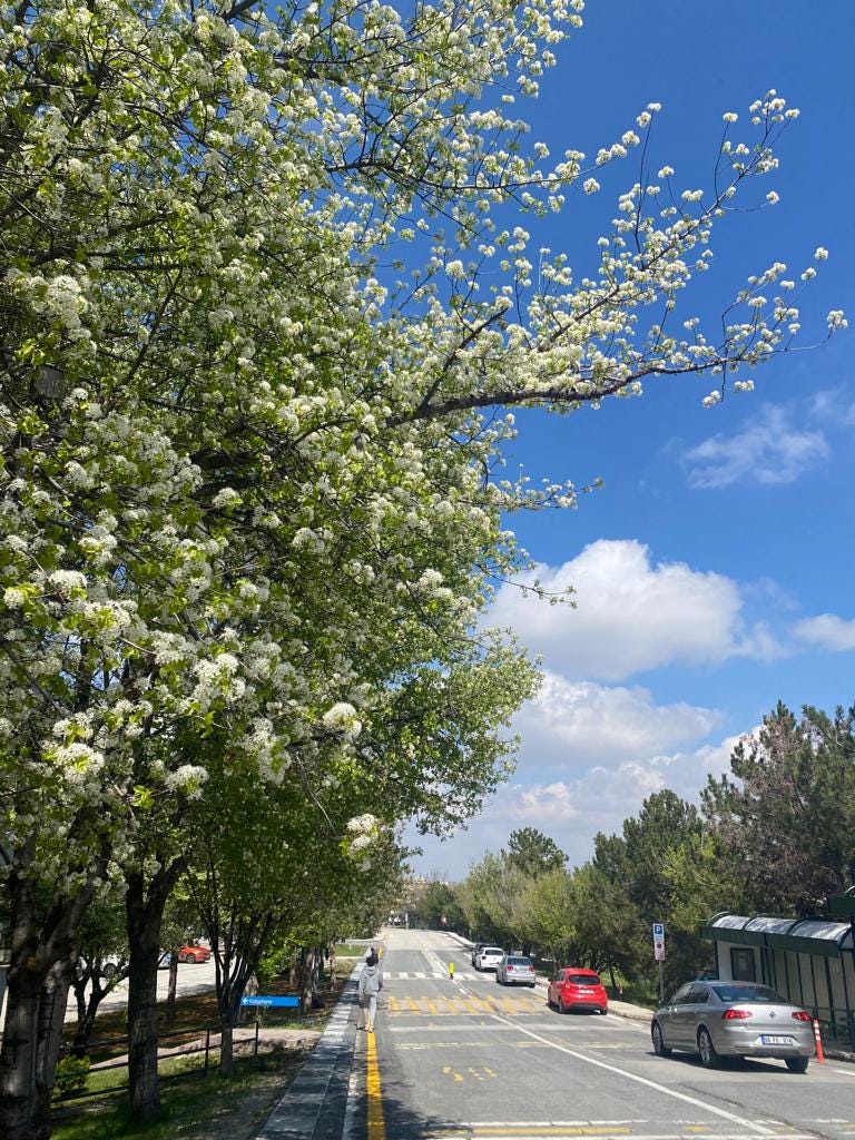 Bilkent Hazırlık Binası Önünden Bir Kare