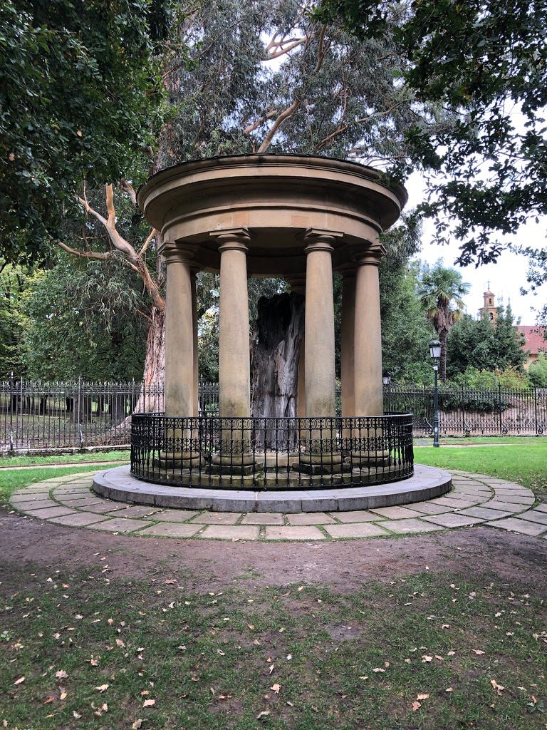 The old oak, by the Assembly House. Photo by the Author