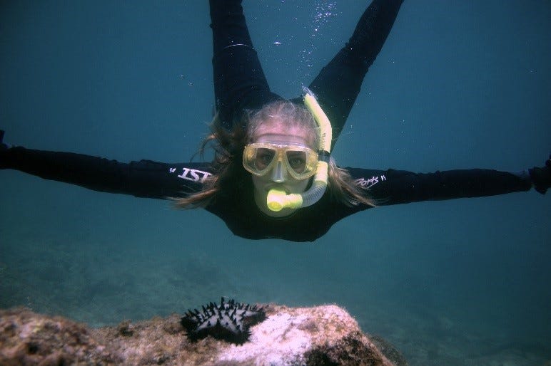 snorkeling free diving