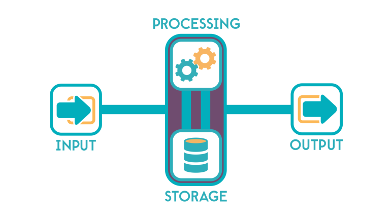 input storage processing output