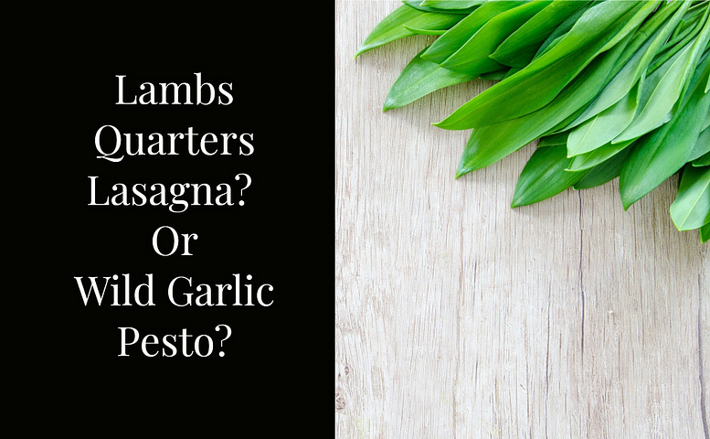 Eat the weeds with wild garlic pesto