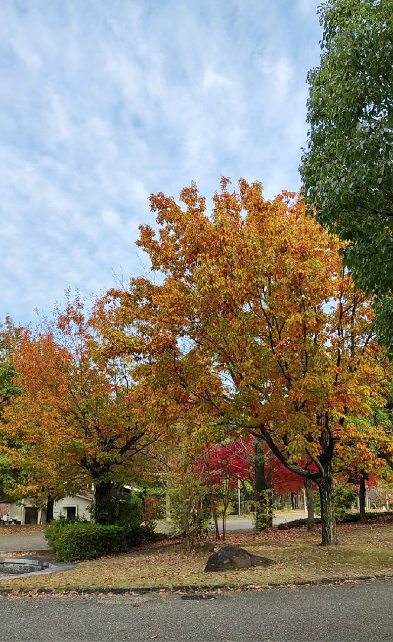 Tsurumi Ryokuchi Park