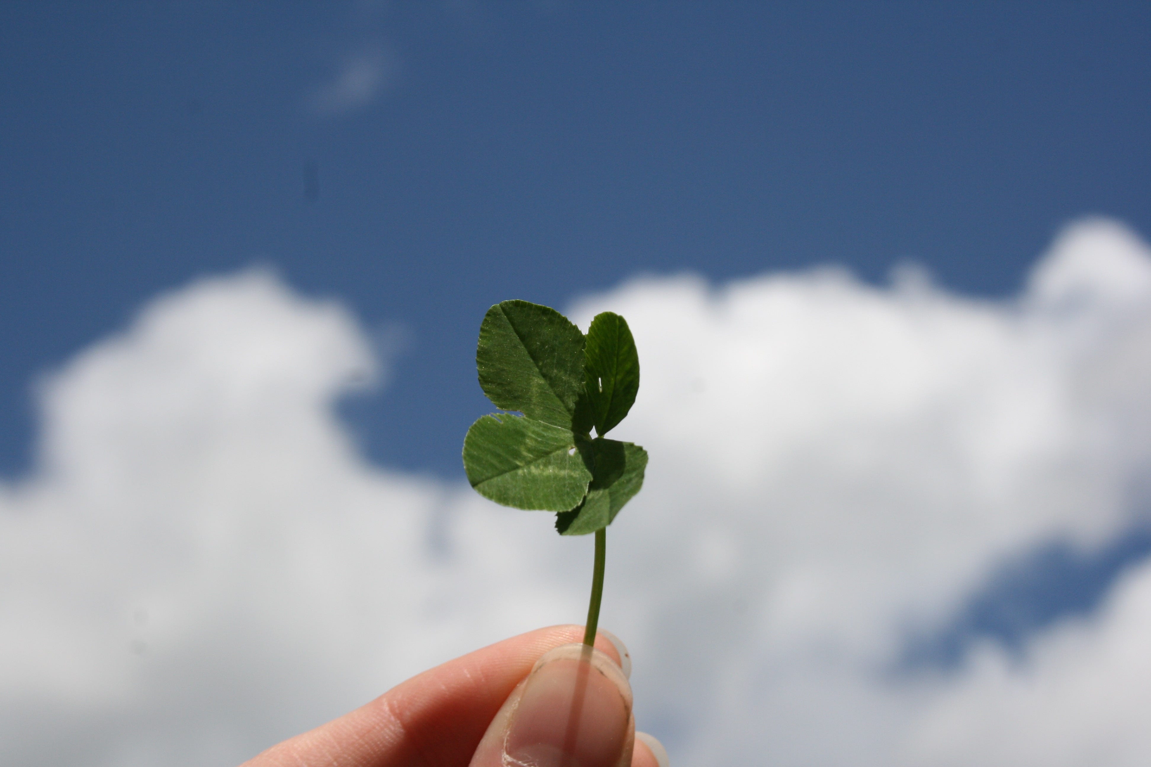Photo by [Barbara Krysztofiak](https://unsplash.com/@b_krysztofiak?utm_source=medium&utm_medium=referral) on [Unsplash](https://unsplash.com?utm_source=medium&utm_medium=referral)