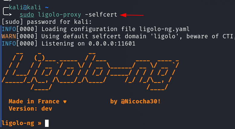 Bypassing WDAC and AppLocker Using Ligolo