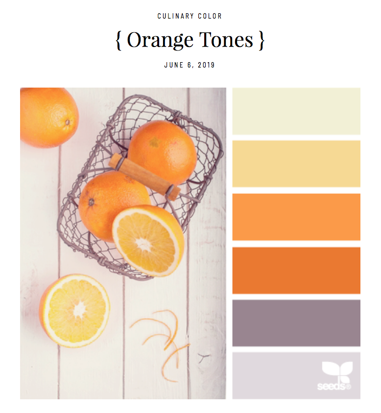 Color Scheme by Design-Seeds.com inspired by oranges. A basket of whole and cut oranges sit in a basket on a white table
