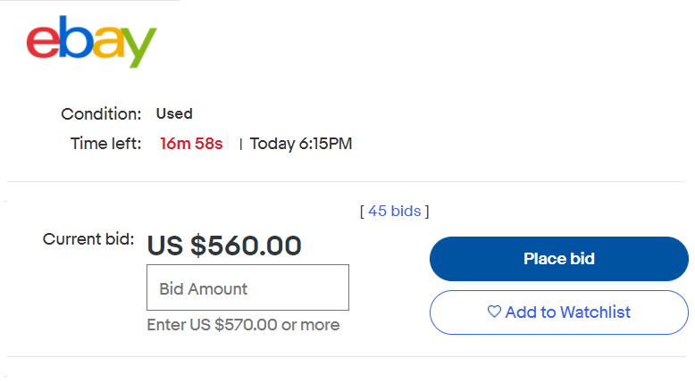 A snapshot of an ebay bidding screen
