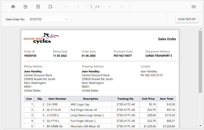 Sales-Order-Detail is loaded in Report Viewer