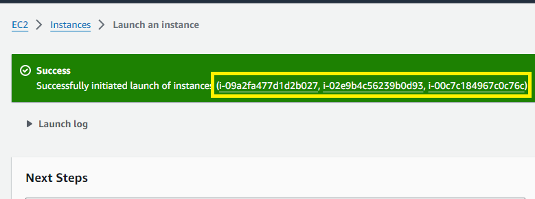 Instances Launched