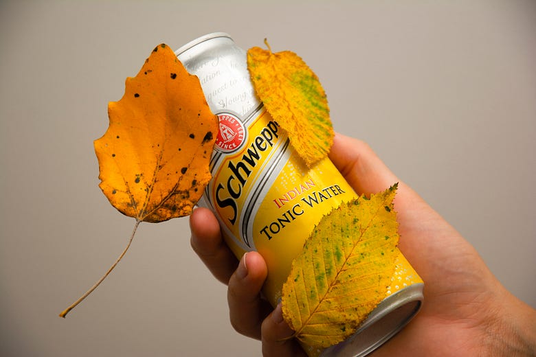 A can of tonic water