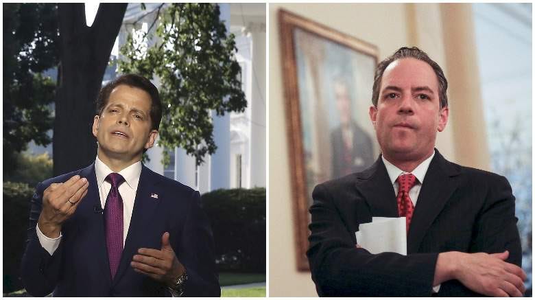 Image result for scaramucci reince