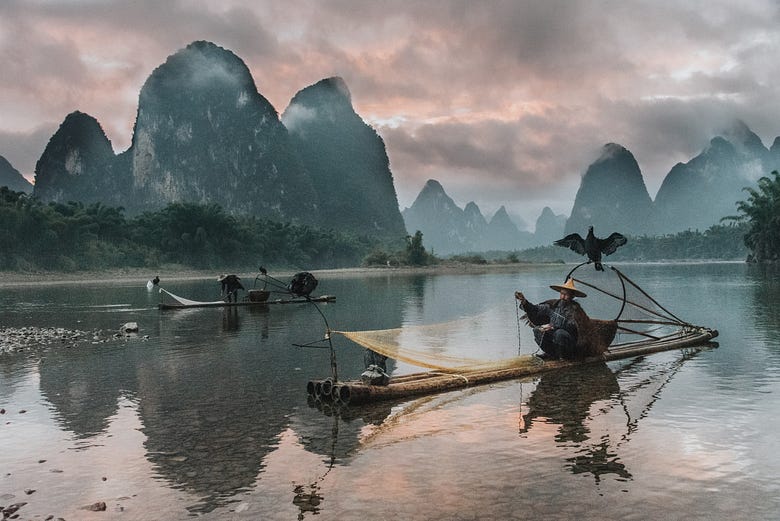A Chinese fisherman catching fish with his net in a lake beside beautiful mountains.
