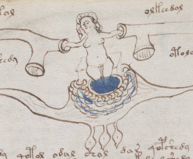 A drawing of a woman in water from Voynich Manuscript