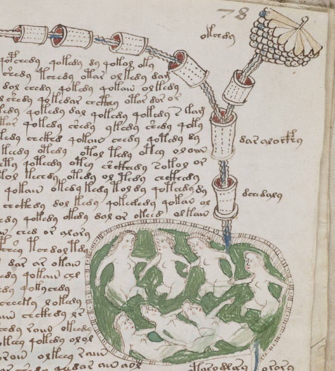 A drawing of women in a weird bathtub from the Voynich Manuscript