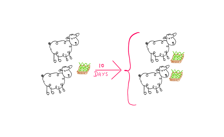 The Doubling Puzzle: On the left two unhappy sheep stand before one patch of grass. Ten days later, the two sheep seem happy and are standing before two patches of grass.