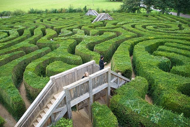 A massive garden maze