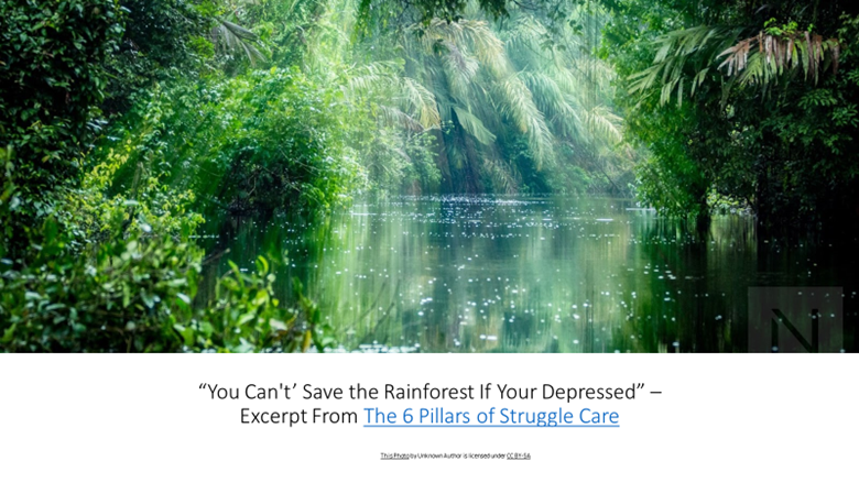 You Can’t’ Save the Rainforest If Your Depressed” — Excerpt From The 6 Pillars of Struggle Care