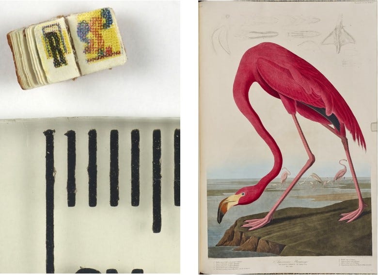 Two adjacent images both brightly coloured. Left: Double-page spread showing letters R and S. Right: Flamingo with lowered head by pool.