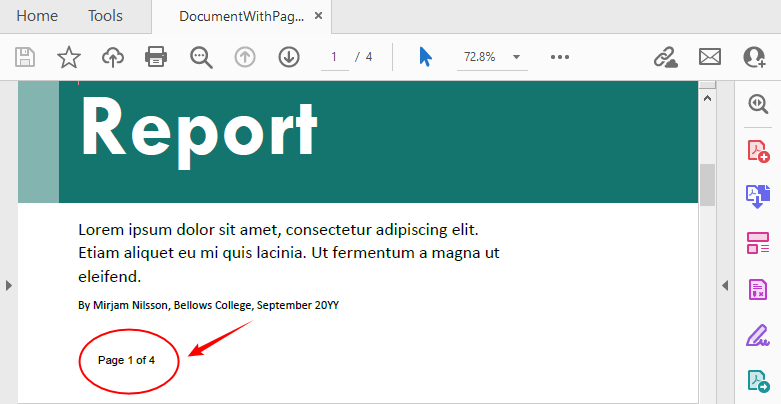 How to Add Page Numbers to PDF in C# (Step-by-Step Guide)