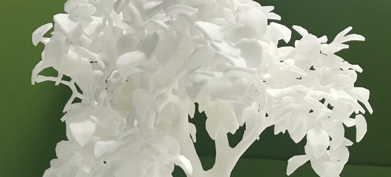 Close up of a white 3D printed tree against a green background