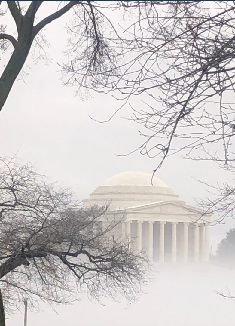 Jefferson Memorial on a cloudy day with leafless tree branches in the foreground on January 25, 2024