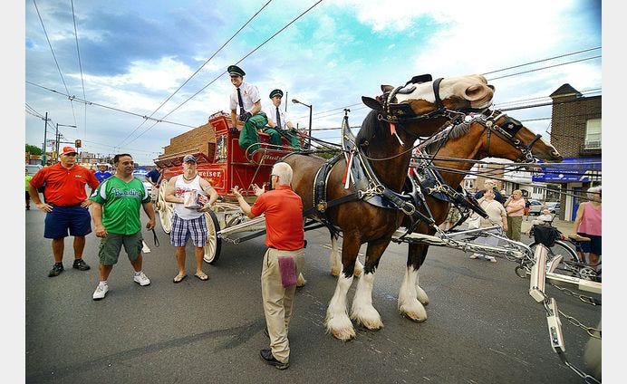 MARIA YOUNG / WIRE PHOTO PHOTO: Paul Keleher / The iconic Clydesdales, seen here in Philadelphia in 2013, will parade through Bristol Borough on Sept. 5.