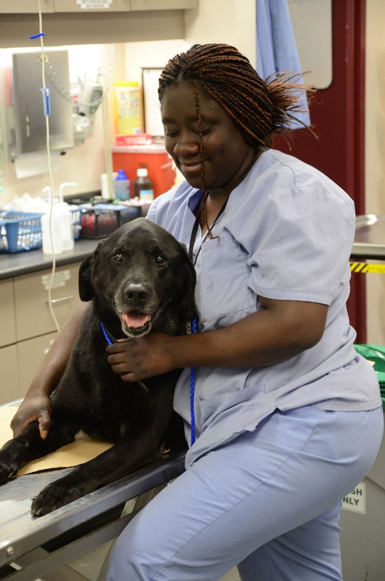 vet tech with dog