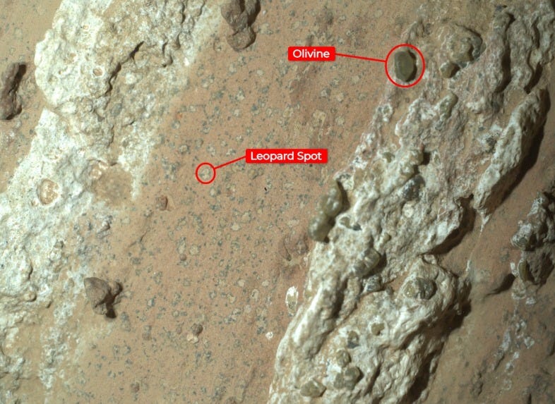 Lithopanspermia: Mars’ Biological Legacy