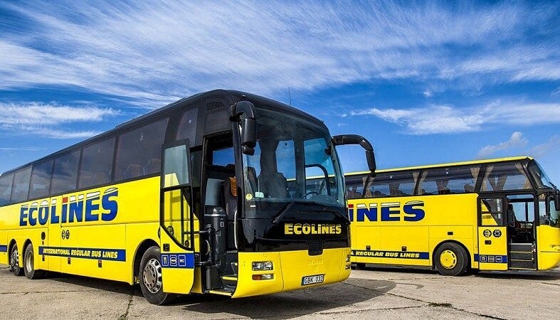 Pricture of two buses of ecoline company