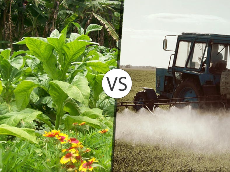 The difference between organic farming and inorganic farming