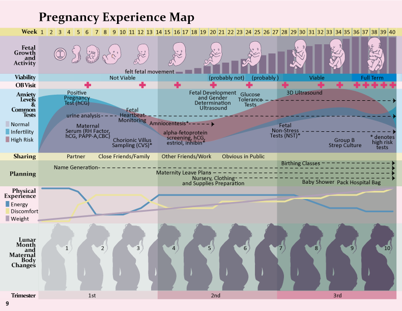 An illustrated pregnancy experience map by Beth Kyle, summarizing a mother’s journey from conception to birth.