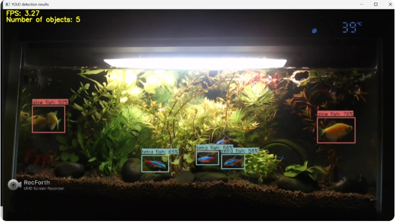 Real-Time Identification and Localization of Aquarium Species Using Deep Learning