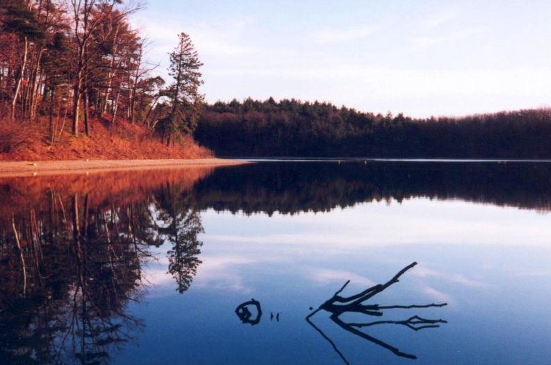 walden-pond