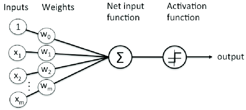A graphic showing an overview of a perceptron. Each features is given a weight and then passed into a function. Based on the output of that function, the perceptron sets a threshold where when above that number the final output is 1 and when below the final output is 0.
