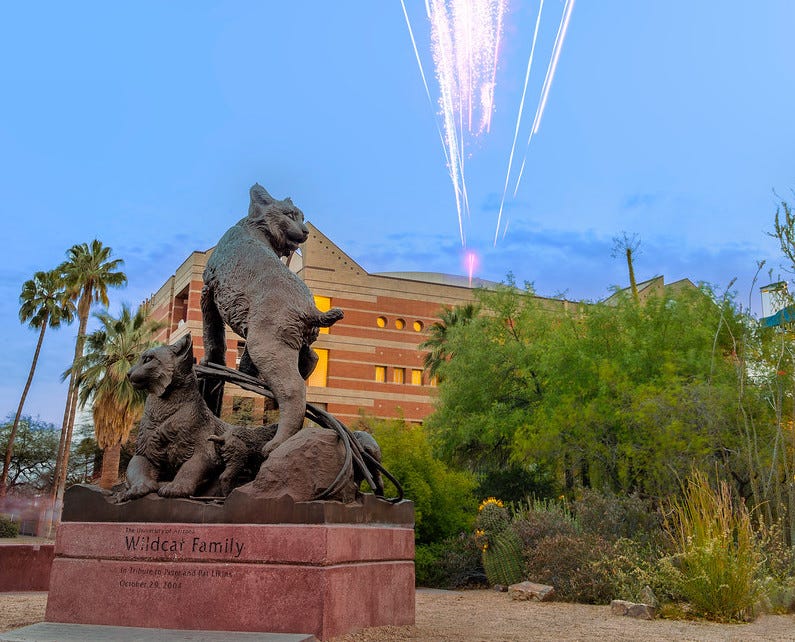 A metal statue featuring two wildcats in the foreground. Background: greenery, palm trees, university building, fireworks.