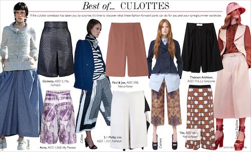 Culottes: From French Revolution to Feminism, by Amy Boone