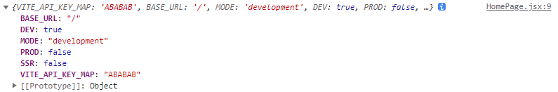 也可以 console.log看看會印出什麼，就是一個 import.meta.env物件