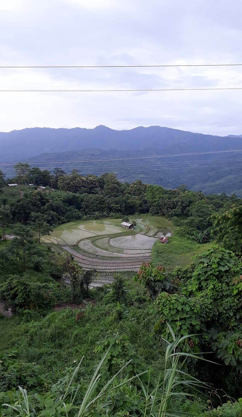 A mountain view near Zubza village, Nagaland.