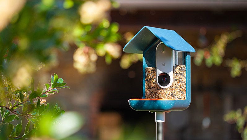 Bird Buddy Smart Bird Feeder